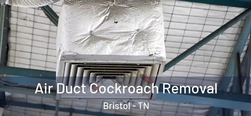 Air Duct Cockroach Removal Bristol - TN