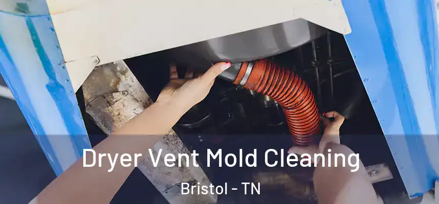  Dryer Vent Mold Cleaning Bristol - TN