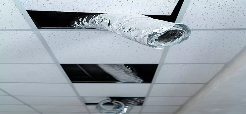 Affordable HVAC Sanitizing After Pest Removal in Bristol