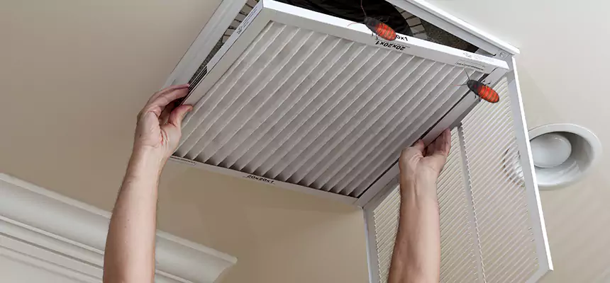 Our Insect Removal from Air Ducts Services in Bristol, TN