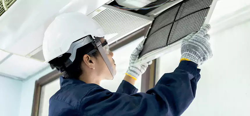 Our Mold & Mildew Removal from Air Ducts Services in Bristol, TN