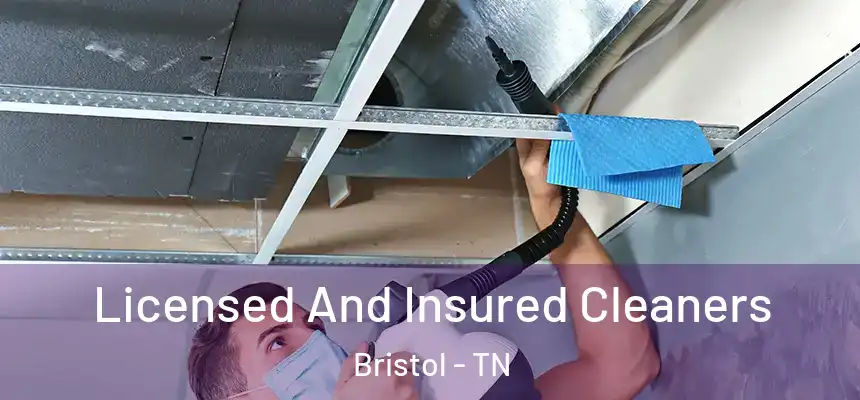 Licensed And Insured Cleaners Bristol - TN