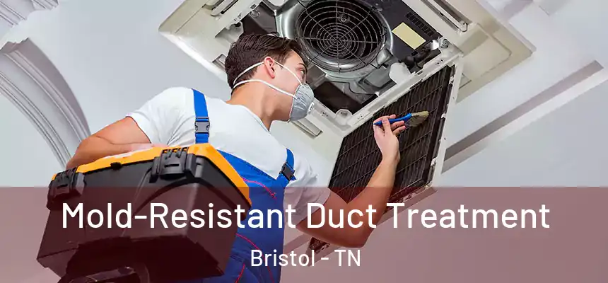  Mold-Resistant Duct Treatment Bristol - TN
