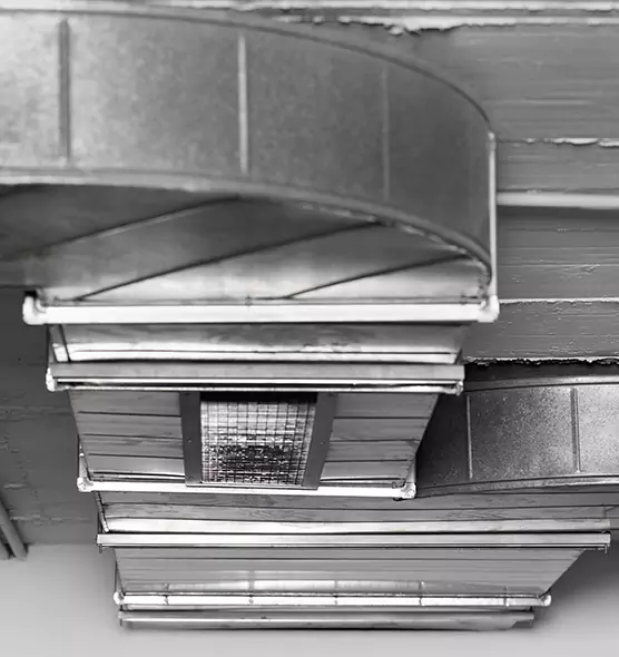 Professional Air Duct Pet Hair Removal in Bristol, TN