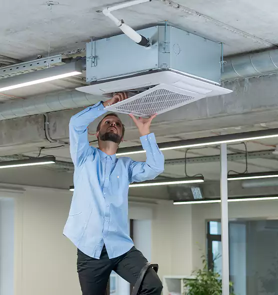 Advanced Rodent Droppings In Vents in Bristol, TN