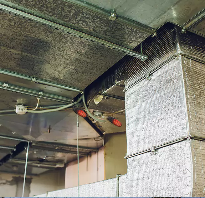 Why Homeowners & Businesses Trust Us in Bristol, TN?