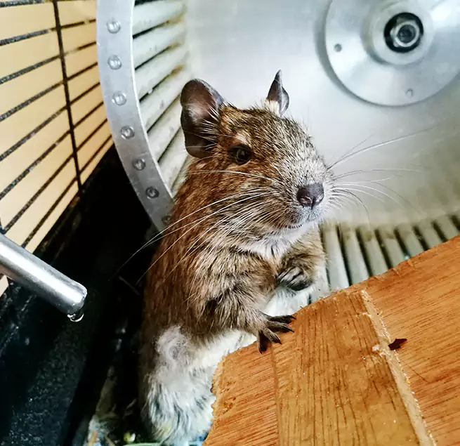 Why Homeowners & Businesses Trust Us Bristol, TN?