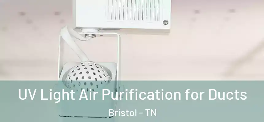  UV Light Air Purification for Ducts Bristol - TN